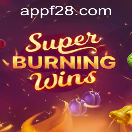 SuperBurningWins: A Captivating Game Experience with F28 Features